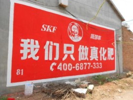 汨罗刷墙广告”蕴含了时代命题