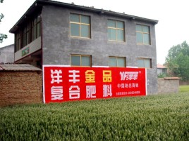 汨罗如何让墙体广告展现最大化效果